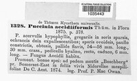 Image of Puccinia aecidiiformis